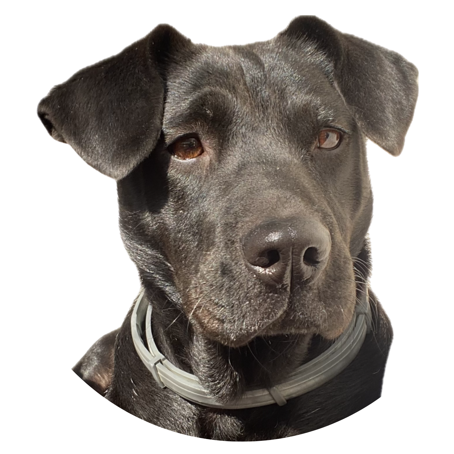 Portrait de Julie Mani